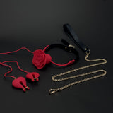 Vibrating Nipple Clamps & Ball Gag Set with Adjustable Leash