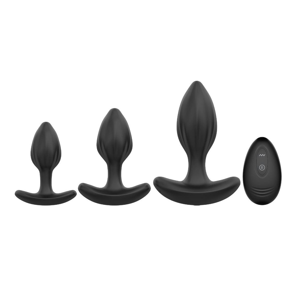 Desire Me Silicone Anal Plug Set - The Large Plug Vibrates! - Sexdoll.Sex