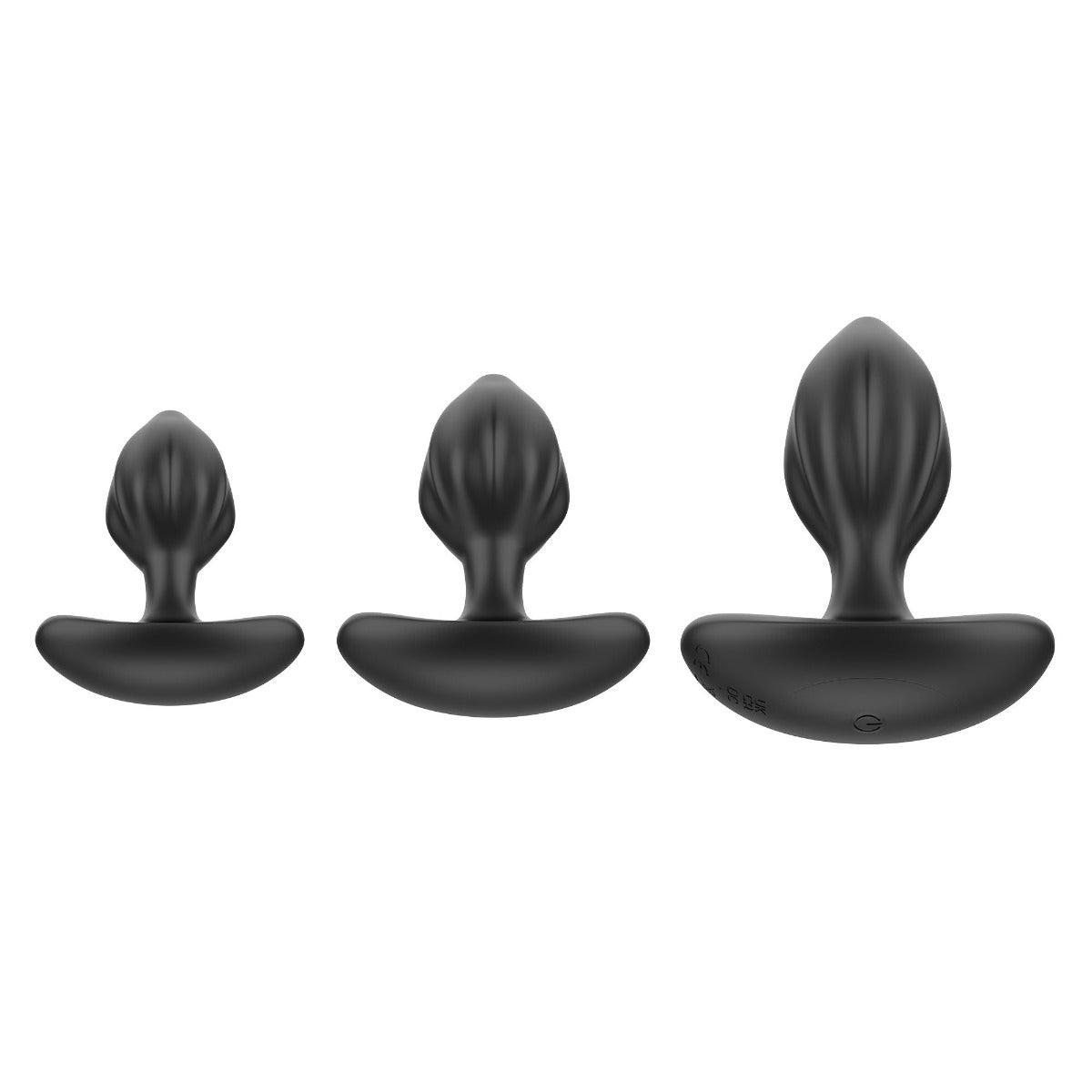 Desire Me Silicone Anal Plug Set - The Large Plug Vibrates! - Sexdoll.Sex