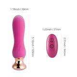 Pink Holic – Curved Remote Vibrating Anal Plug - Sexdoll.Sex