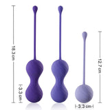 Twin Ball Postpartum Recovery 3-Piece Set - Vaginal Training Kegel Balls - Sexdoll.Sex