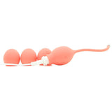 We-Vibe Bloom Vibrating Kegel Balls - Sexdoll.Sex